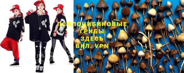 apvp Нижний Тагил