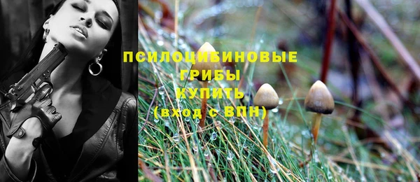 apvp Нижний Тагил
