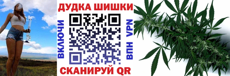 Купить  Ленинск  Бошки Шишки сатива 